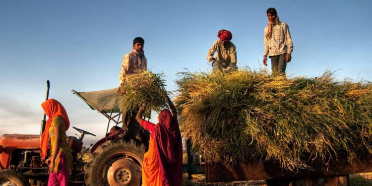 Agritech Startup FarMart Raises $10Million in a Series A Investment Led by Matrix Partners India